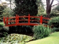 Japanese Garden, County Kildare, Ireland - 