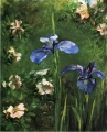 John LaFarge - Wild Roses and Irises