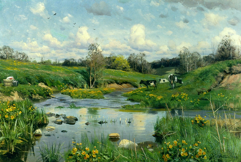 000 Cows_Grazing_1900