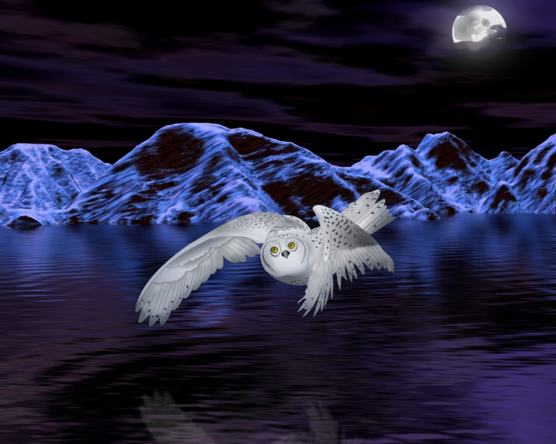 debian-night-owl
