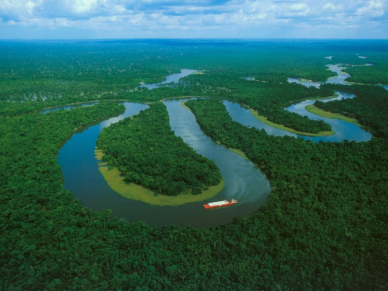 Brazil-AmazonasState-TheAmazonRainForestNearManaus
