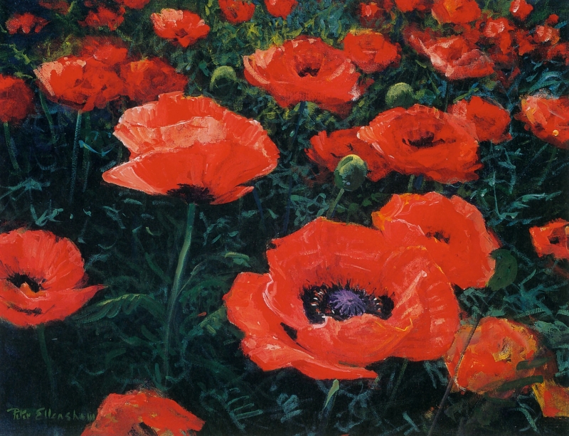 Poppies-1992