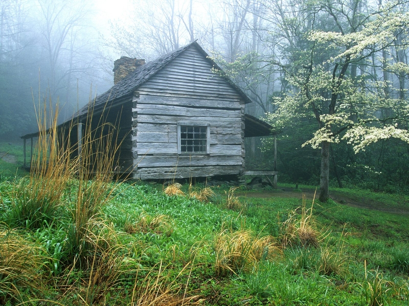 Peaceful Morning, Noah  Bud  Ogles Place, Smoky Mtns., Tennessee