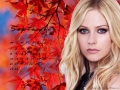  -   2008   Avril Lavigne!!!