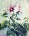 John LaFarge - Study of Pink Hollyhock in Sunlight_ From Nature