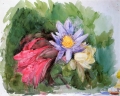 John LaFarge - Water Lilies and Hibiscus