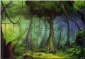 a131_philip_straub__rainforest