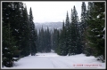 Лыжные трассы - Зимний пейзаж