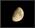 Луна - Красоты Кулундинских степей