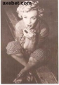 001039 - 1299  Marilyn Monroe