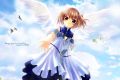 Konachan.com - 33119 - angelic_serenade lasty_farson naruse_chisato sky wings 100