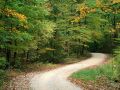 Country Road in Autumn, Nashville, Indiana -   