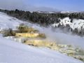 Mammoth Hot Springs, Yellowstone National Park, Wyoming -   
