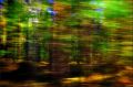 SPEED FOREST COLOURS - 