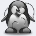 Penguin - 593