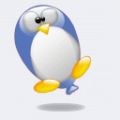 Penguin - 594