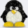 Penguin - 621