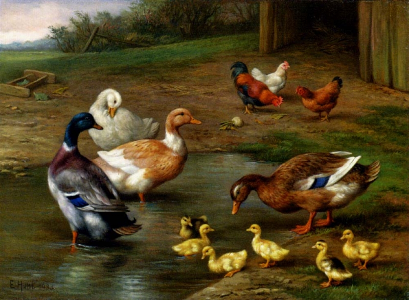 Hunt_Edgar_Chickens_Ducks_And_Ducklings_Paddling