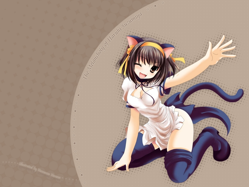 Konachan.com - 17204 - animal_ears catgirl namamo_nanase suzumiya_haruhi suzumiya_haruhi_no_yuutsu 112