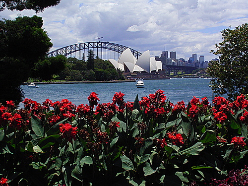 Sydney - view on Opera building and Harbour bridge