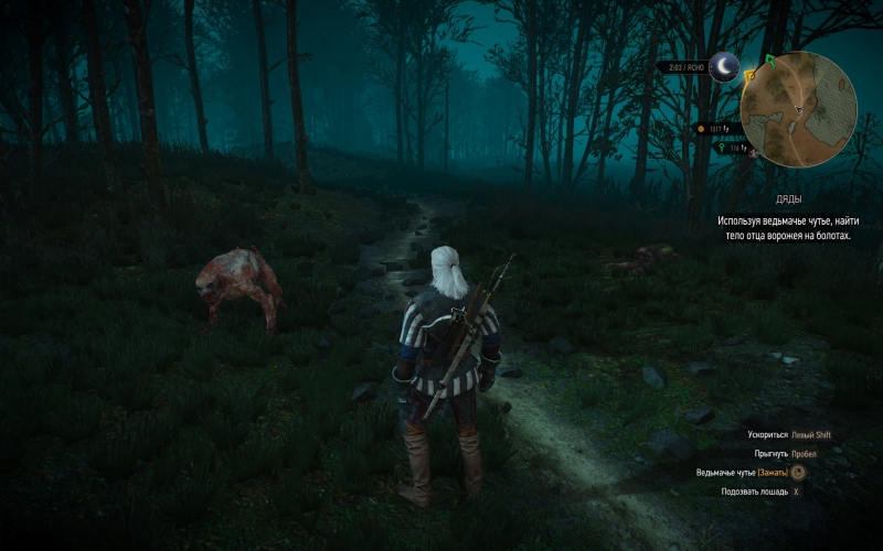     (The Witcher 3 - p1.07)