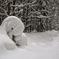 Природа лучший художник. Снежные скульптуры в лесу.