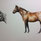  - Art-Horses